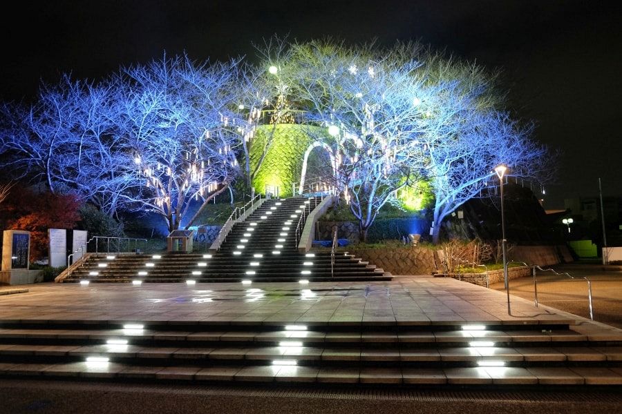 Anan LED New Year