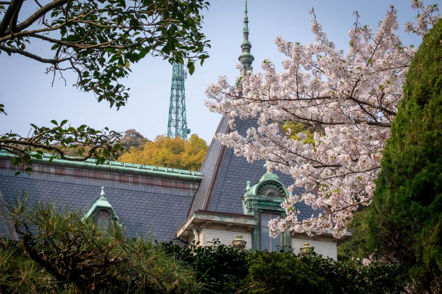 Bansuiso sakura