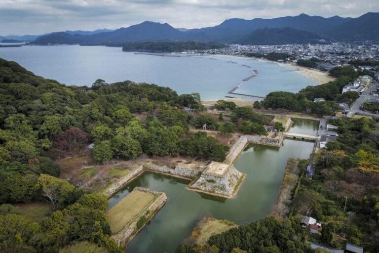 Hagi Castle from above