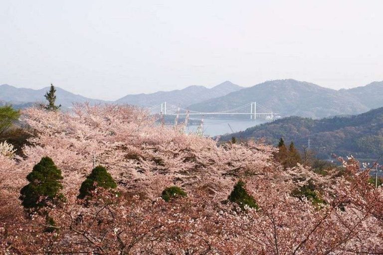 Hakatajima Island Hirakiyama Park