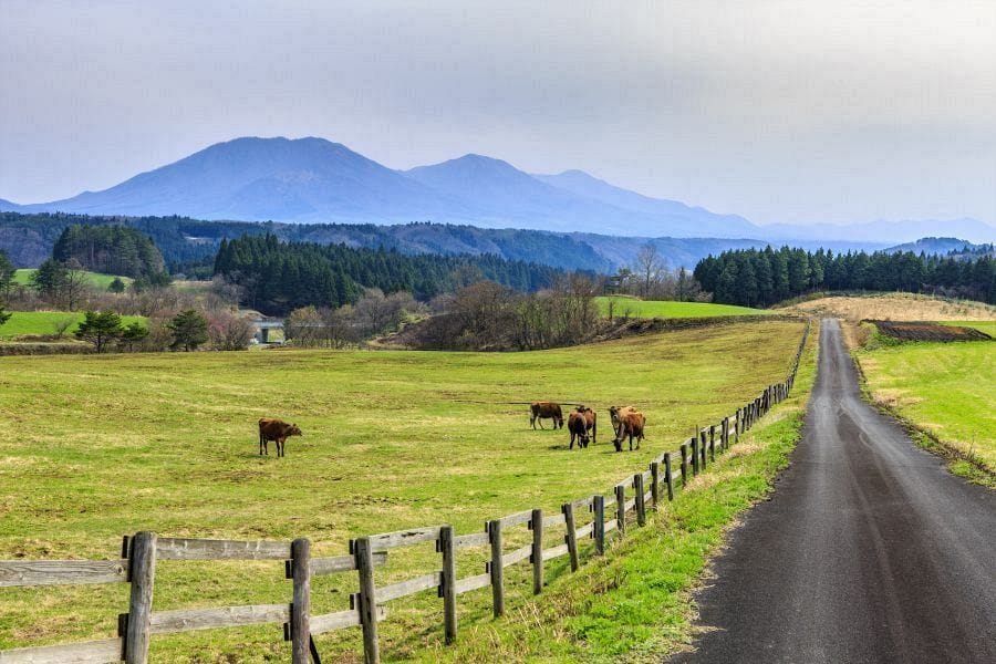 Hiruzen Highland