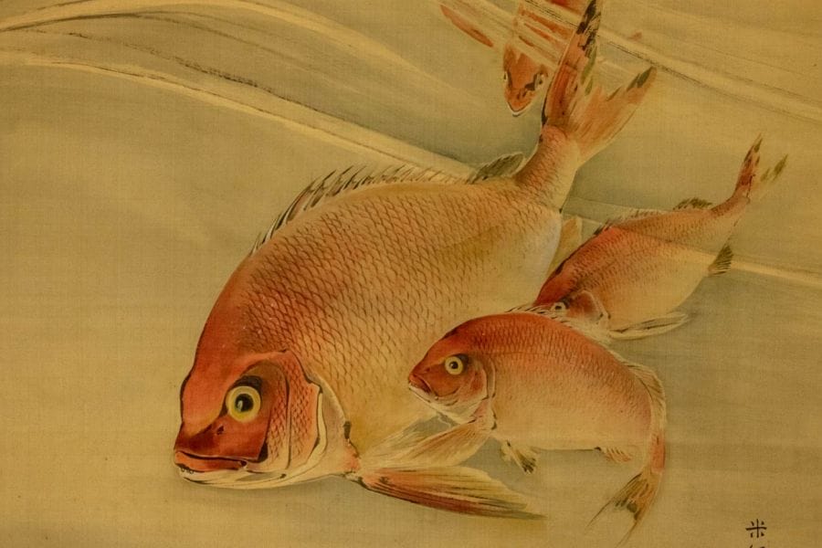 Honke Matsuura Brewery red snapper painting