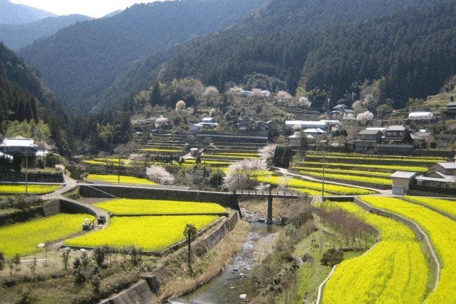 Kamiyama in spring