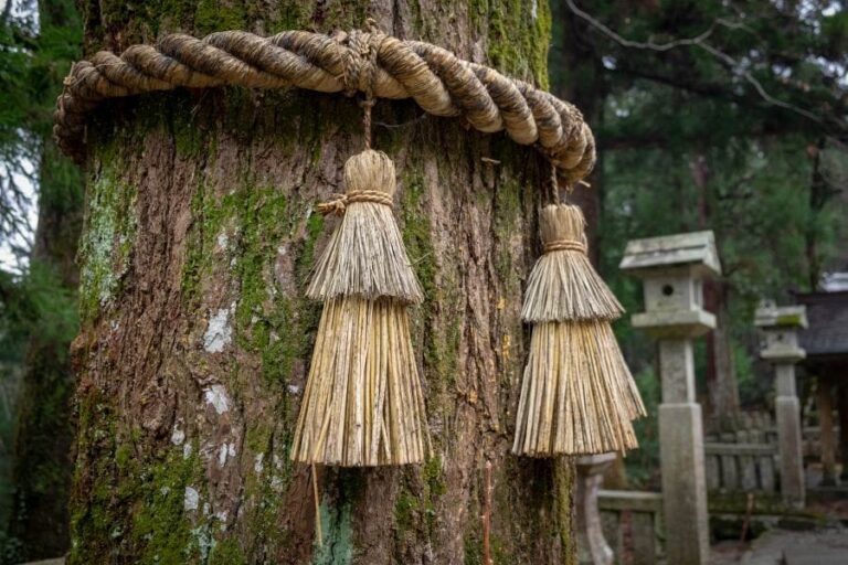 Kamiyama straw rope on tree