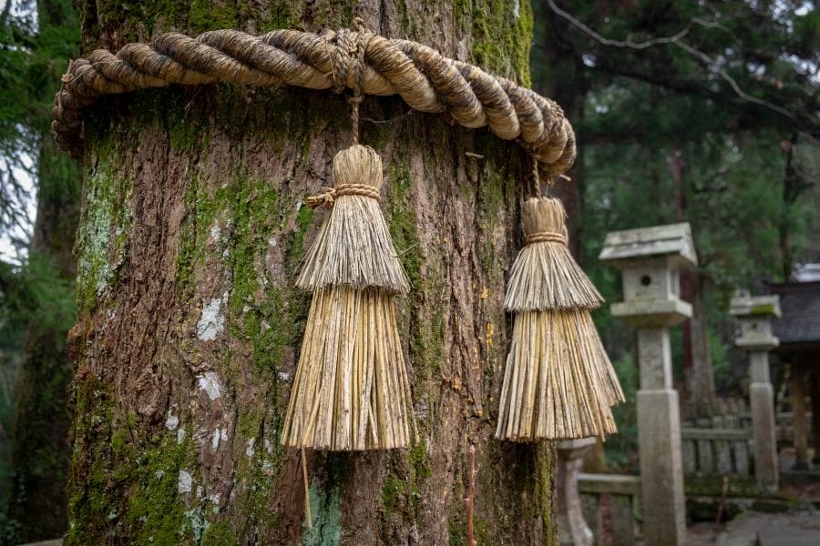 Kamiyama straw rope on tree