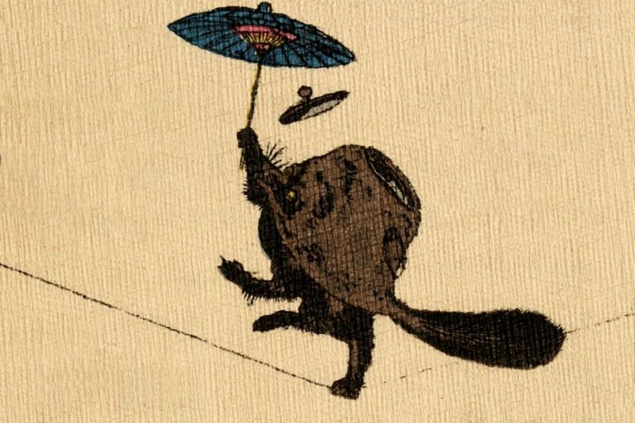 Kojoro Tanuki performing