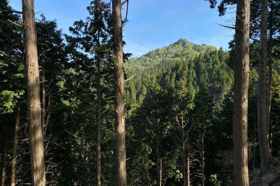 Mt. Narabara peak