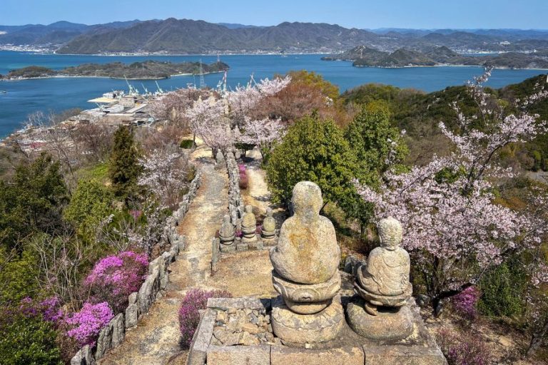 Mt. Shirataki observation deck view