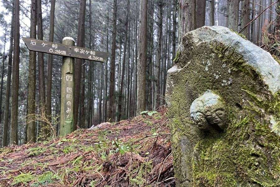 Mt. Takanawa mountain pass