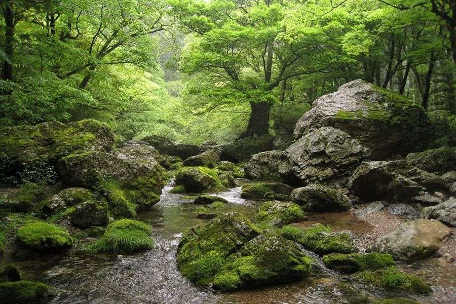 Odamiyama spring