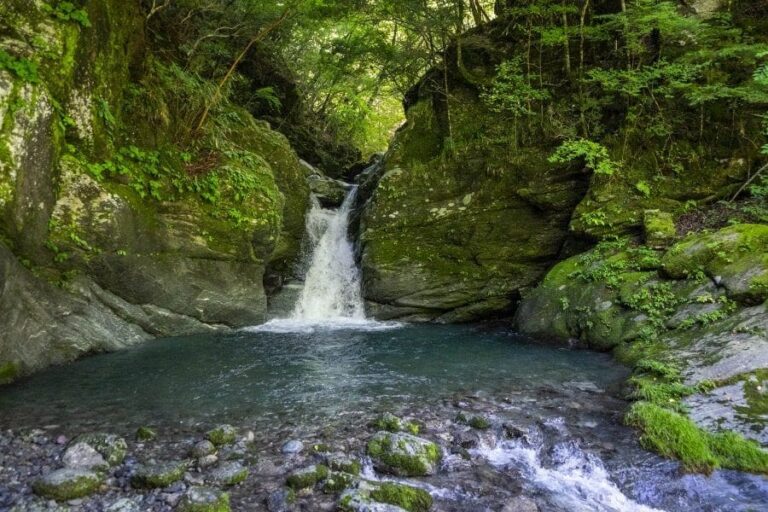 Oku Iya vine bridge waterfall summer
