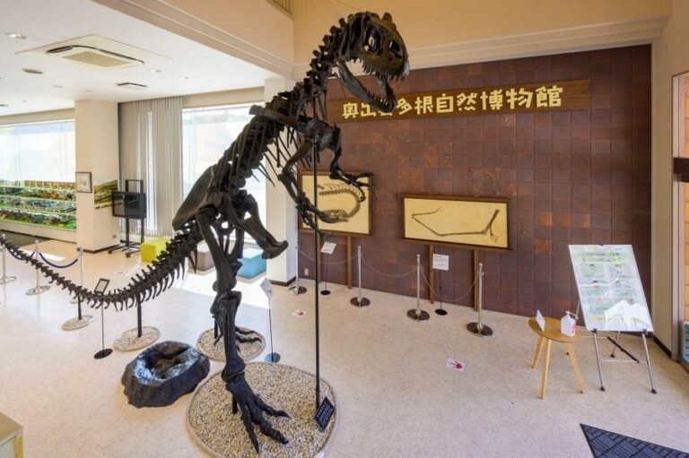 Okuizumo dinosar museum