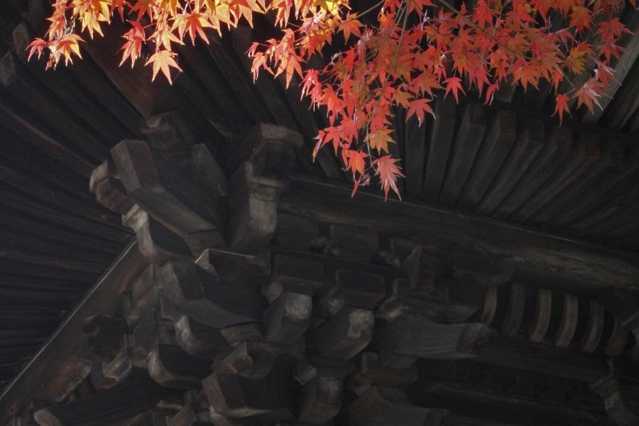 Onomichi Tennei ji Temple pagoda and autumn leaves