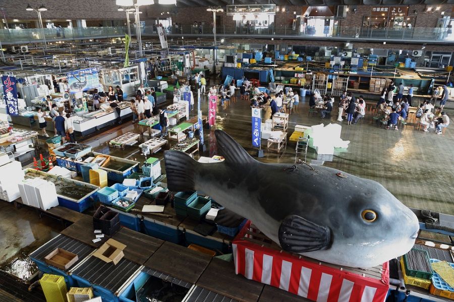 Shimonoseki Karato Market giant fugu
