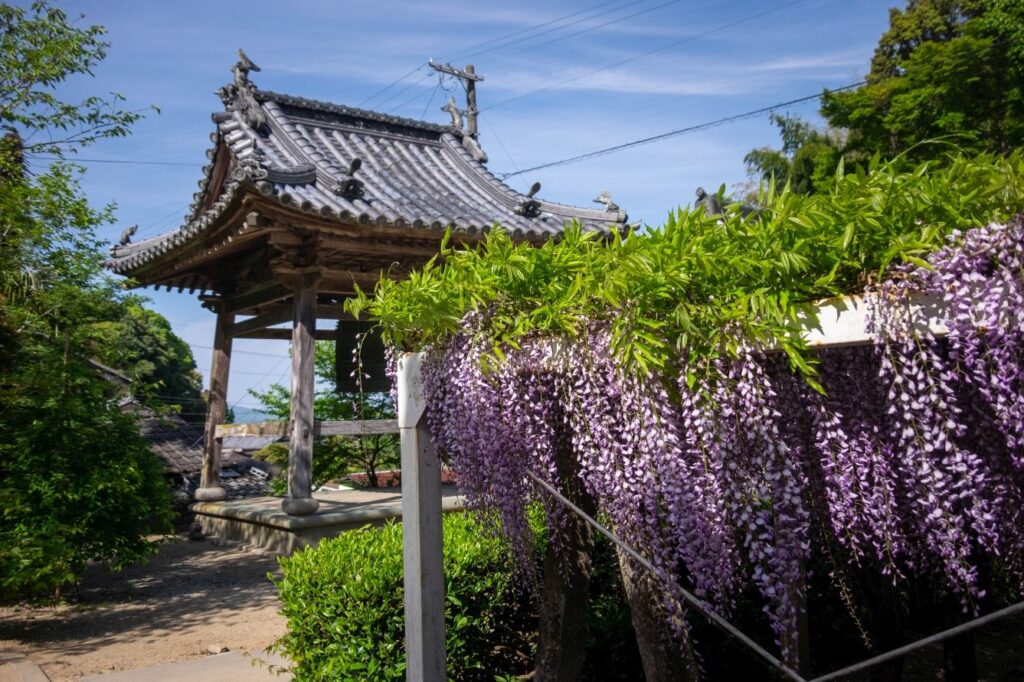 Temple 11, Fujii-dera