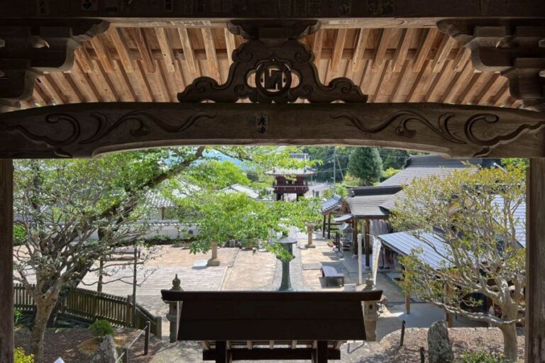 T4 Dainichi-ji Temple general view