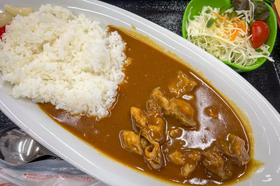 Tottori Sand Dunes curry rice