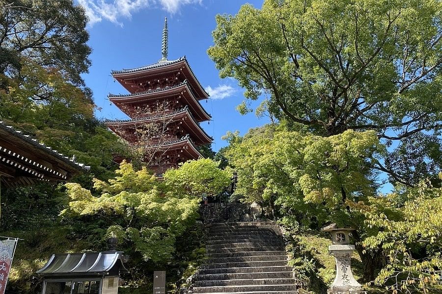Temple 31, Chikurin-ji