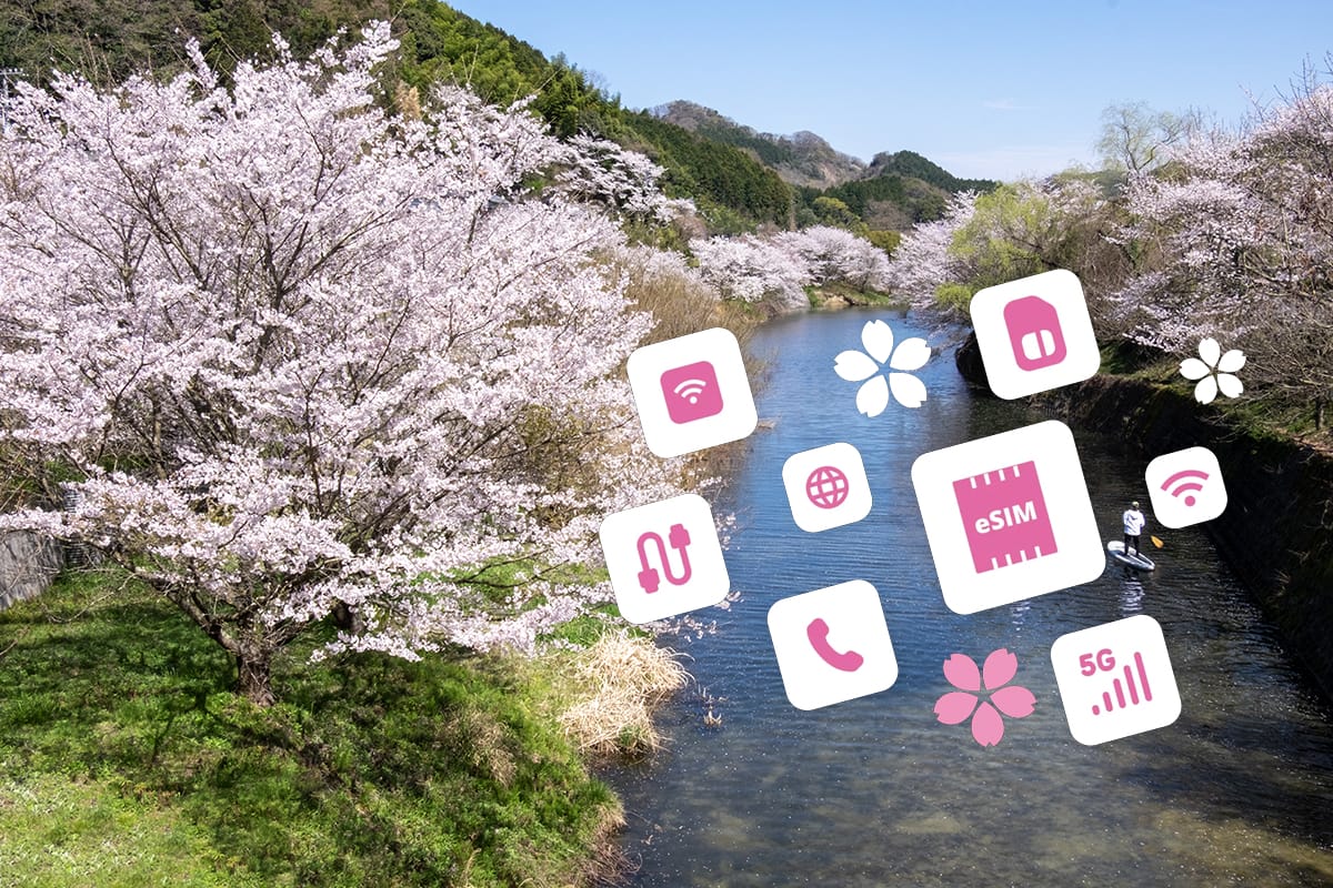 Sakura Mobile hero