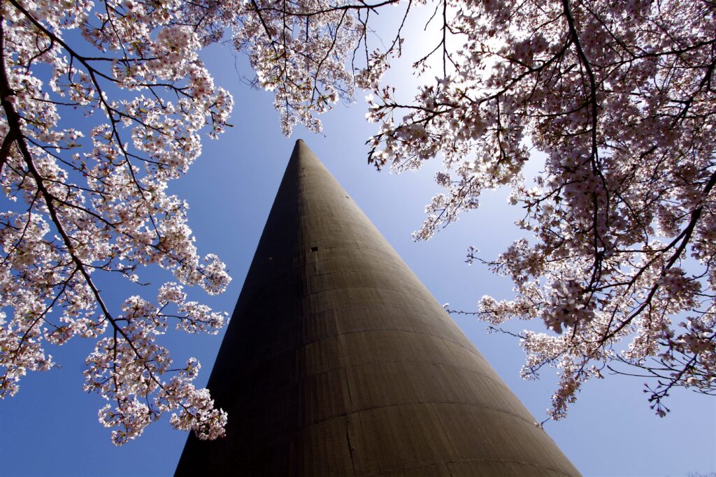 Hario Transmission Station with sakura