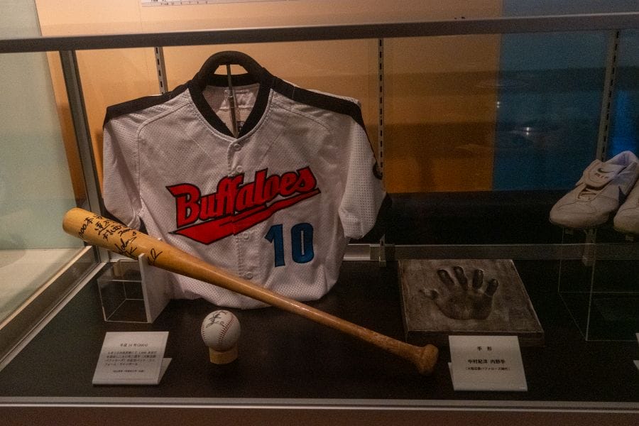 No-Ball Museum Buffaloes uniform